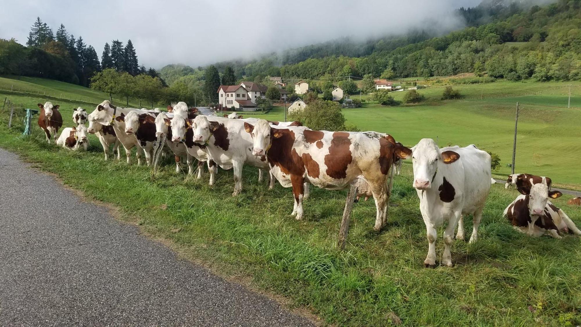 Un Pied Devant L'Autre Sainte-Marie-D'Alvey المظهر الخارجي الصورة