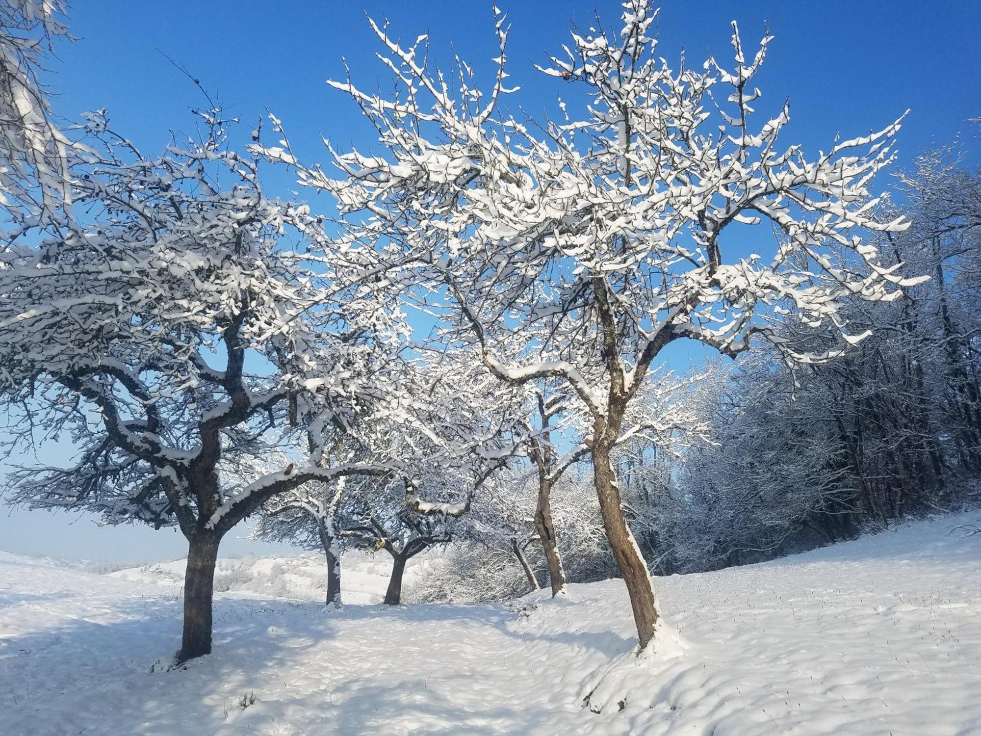 Un Pied Devant L'Autre Sainte-Marie-D'Alvey المظهر الخارجي الصورة